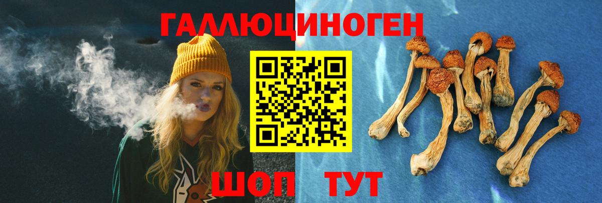 Кольчугино  Псилоцибиновые грибы Psilocybe  Вход с VPN  Галлюциногенные грибы ЛСД 