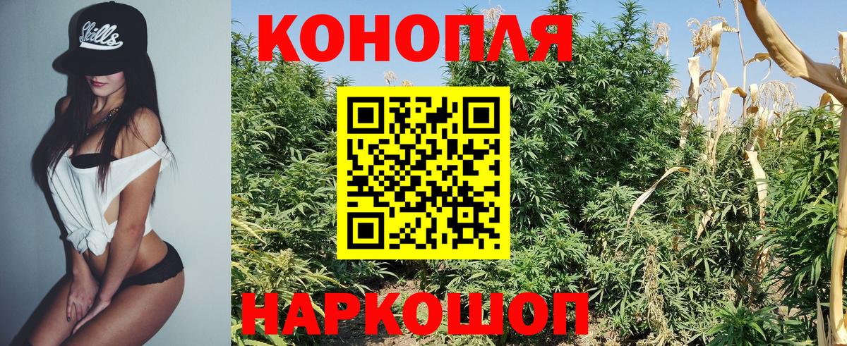 Бошки Шишки SATIVA & INDICA  Вход с VPN  Шишки марихуана THC 21%  Канабис THC 21%  Кольчугино 